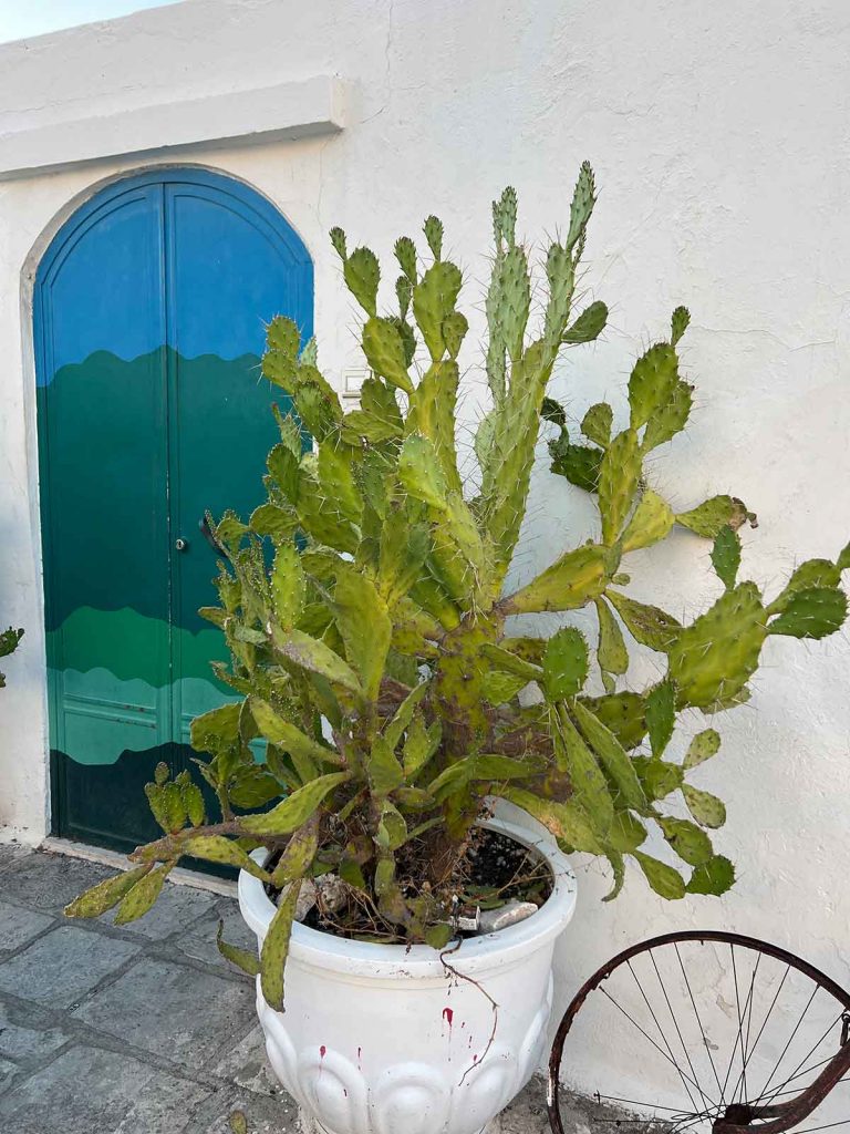 Decoración en Albaro Bello Puglia Italia